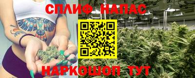 Альфа ПВП Новодвинск