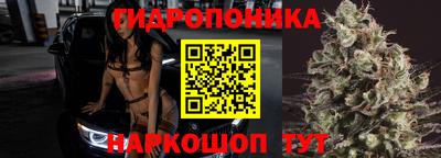 каннабис Новокубанск