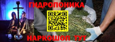 прущие крисы Новозыбков