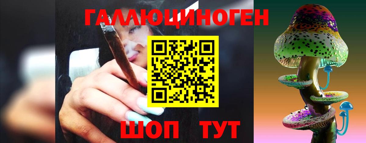 Псилоцибиновые грибы прущие грибы Таганрог